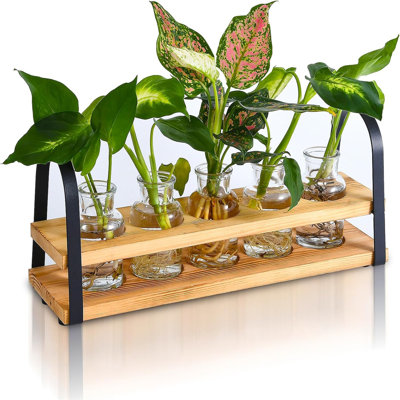 Postes de propagation de plantes avec support en bois, terrarium de plantes de bureau pour la culture hydroponique, vase à fleurs pour la décoration de bureau de cuisine à domicile, cadeaux d'amateurs de plantes