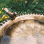 Bain d'oiseaux Aderes-2002997707