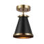 Semi Flush Mount