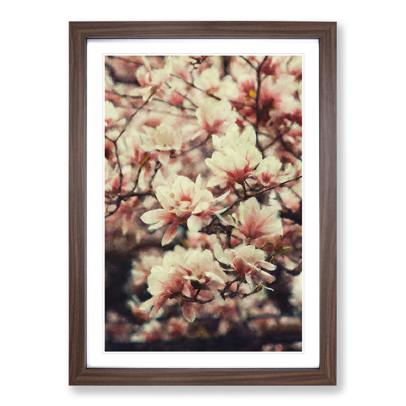 A Pink Magnolia Blossom Tree - Picture Frame Graphic Art, 36cm H x 27cm W x 2cm D, Walnut Framed
