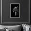 Dark Hunter I Print by Oliver Gal-613405028-613405029