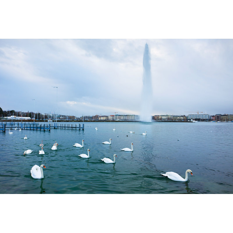 Cygnes sur le lac Léman par Xenotar, H 12 po x l 18 po