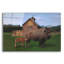  «Creekside's American Bison» par Jim Brune, art mural en verre acrylique, 36 po x 24 po