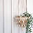 Jhuri Single Hanging Basket