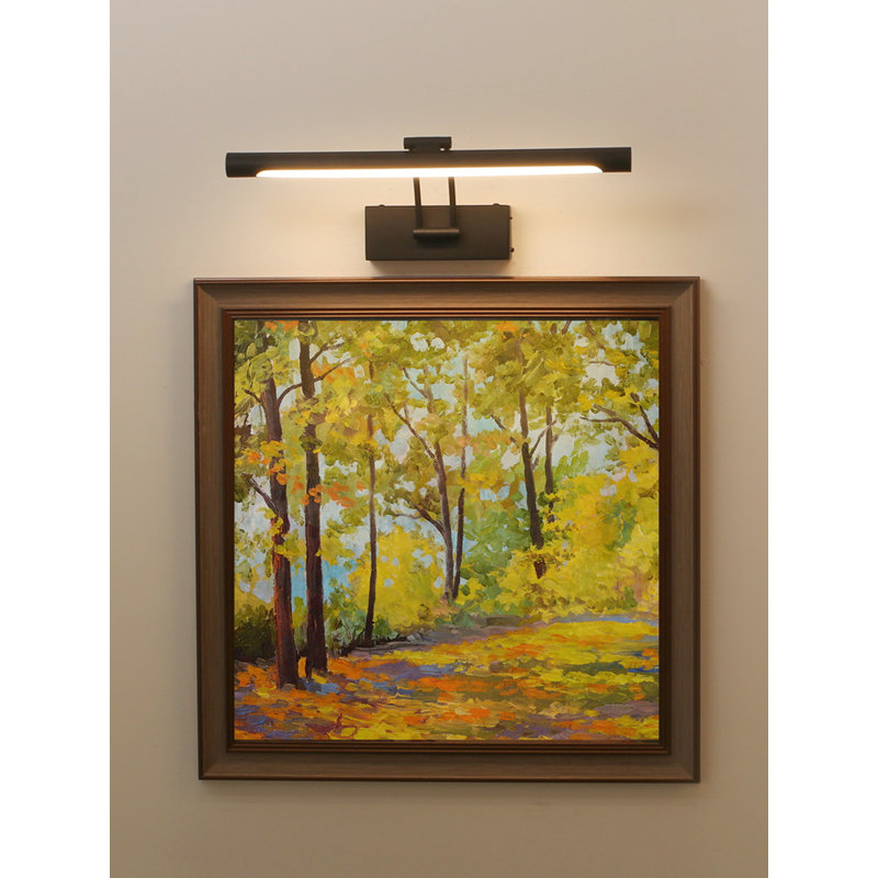 Lampe à DEL à pile à intensité variable avec tête et bras réglables, Noir