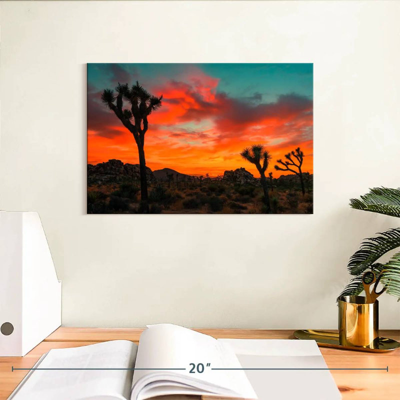 Palmiers Yucca Ravi Sunset, H 8 po x l 12 po