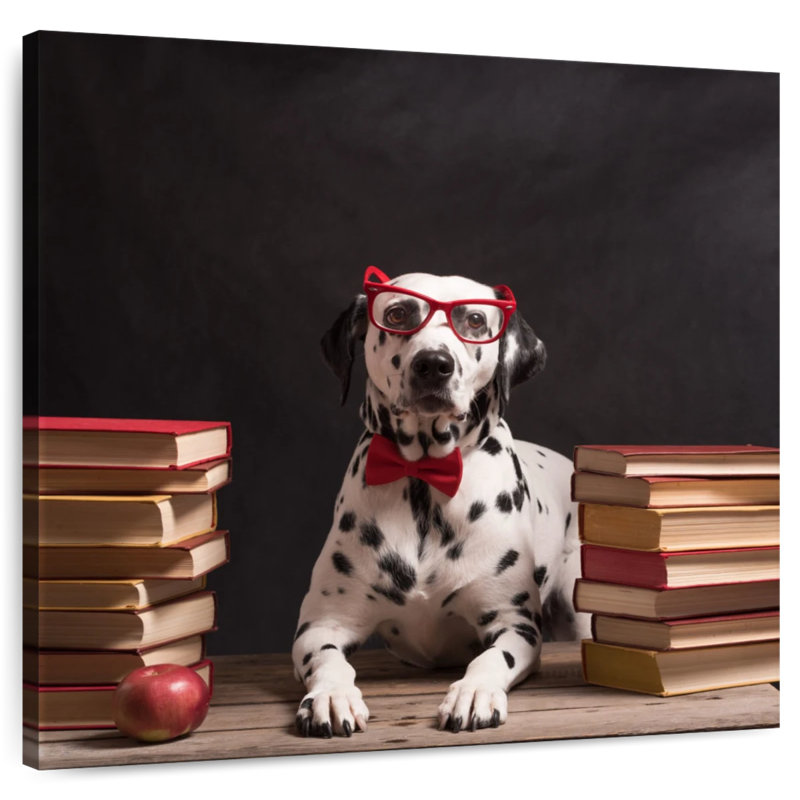 Brampt Dalmatian Librarian, 20" H x 20" W