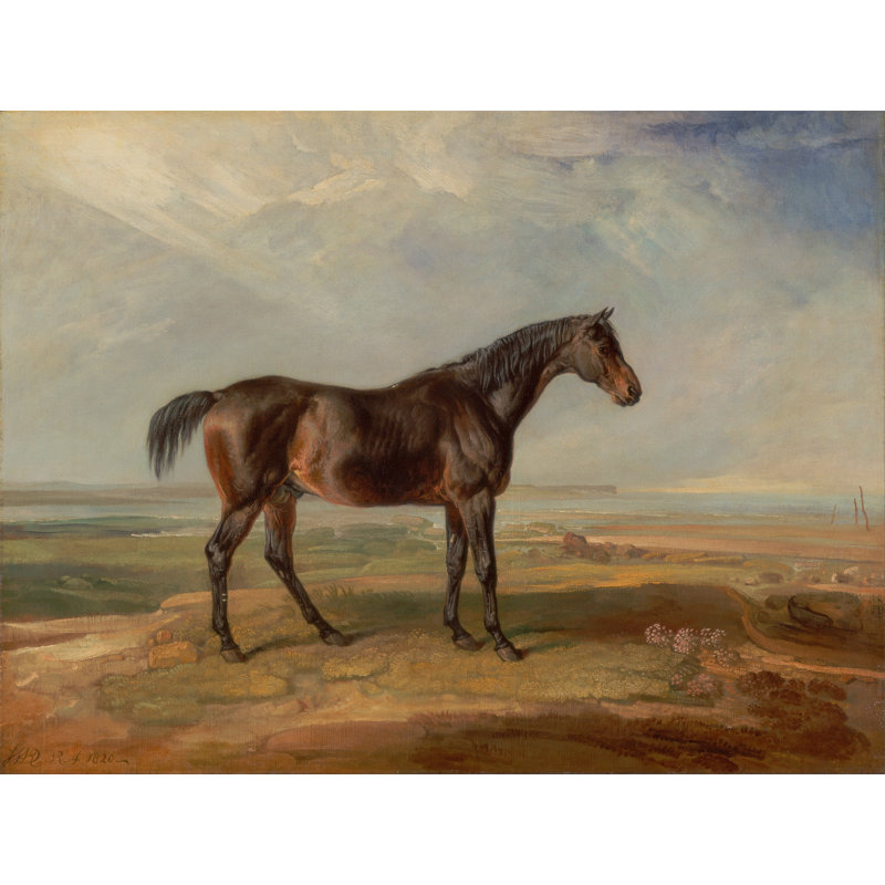 Taneal Ward's Horse In Oil I by James Ward - Wrapped Canvas Print, 30 cm H x 46 cm W