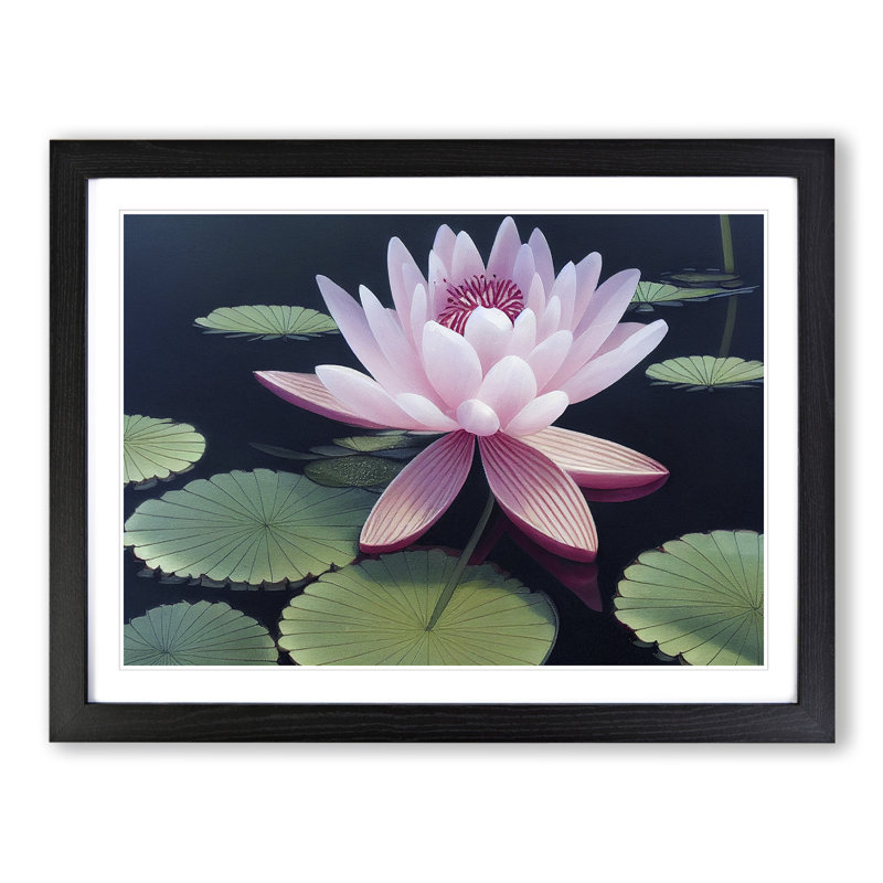 Soulful Water Lily Flower - Framed Print, Black, 25cm H x 34cm W x 2cm D