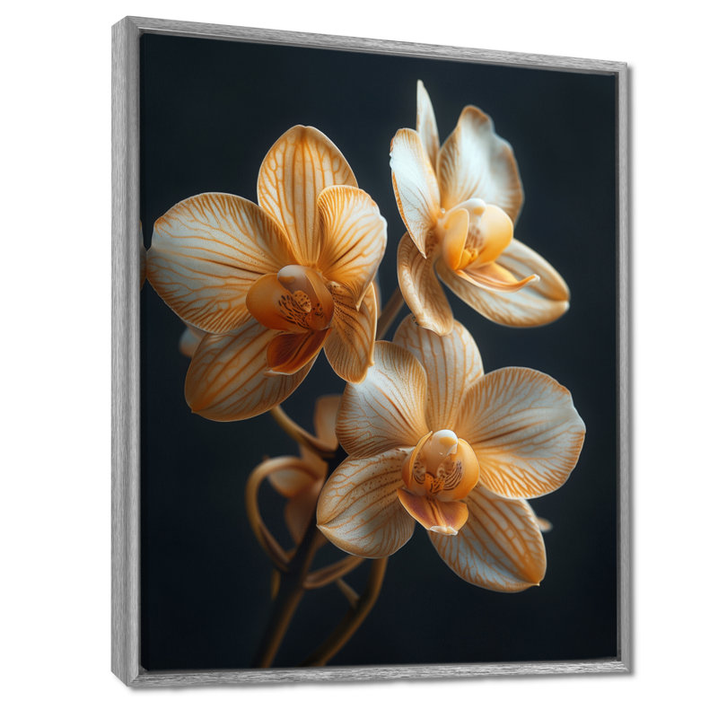 Orchidées noires parfumées Fusion Photo IV - orchidées murales, Encadrement argenté, H 34 po x l 44 po