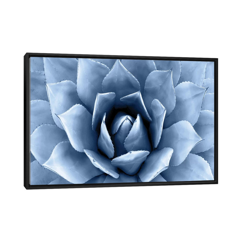 «Succulent II», impression sur toile, H 18 po x l 26 po x P 1,5 po, Toile avec cadre noir