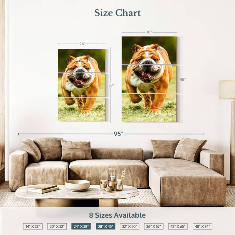 Chien de course Brampt