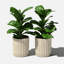 Veradek Demi Series 6" Planter-87809719-87893442