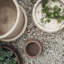 Terra Bowl - Sable