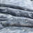 Polyester Velvet Quilt-200243711-200243680