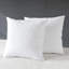 Insert de coussin décoratif décoratif en duvet de plumes avec housse en coton (ensemble de 2)-102250140-132521331