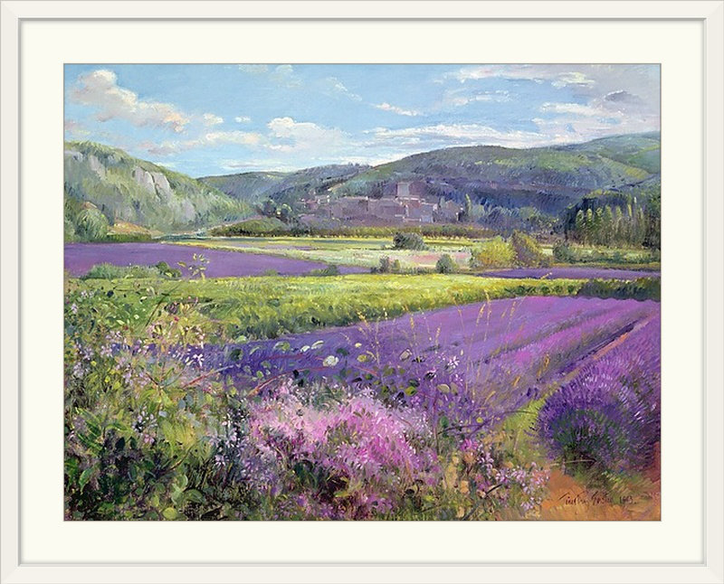 «Murguia Lavender Fields in Old Provence» par Timothy Easton sur toile, H 36 po x l 48 po x P 1,5 po, Toile