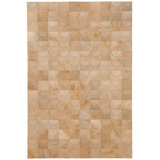 Art Hide Cowhide Area Rug in Orange