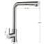 Belfry Kitchen Simlai Pull Out Kitchen Faucet