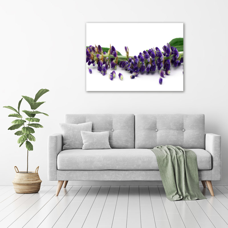 Lavender - Wrapped Canvas Print