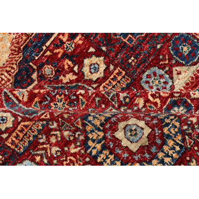 Aryana Wool Oriental Area Rug