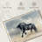 Powerful Black Stallion-2007351425
