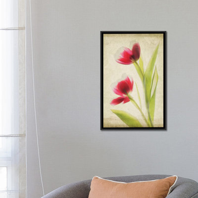 « parchemin florals iii », impression sur toile