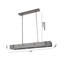 1-Light Gun Metal Iron Rectangular Ceiling Fixture