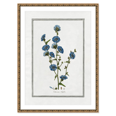 Colombe "Soft Botanical I" Print
