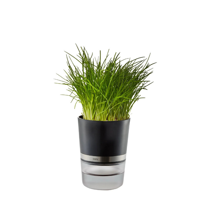 Gefu Growing Kit