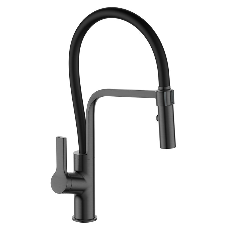 Belfry Kitchen Gabilan Pull Down Kitchen Faucet