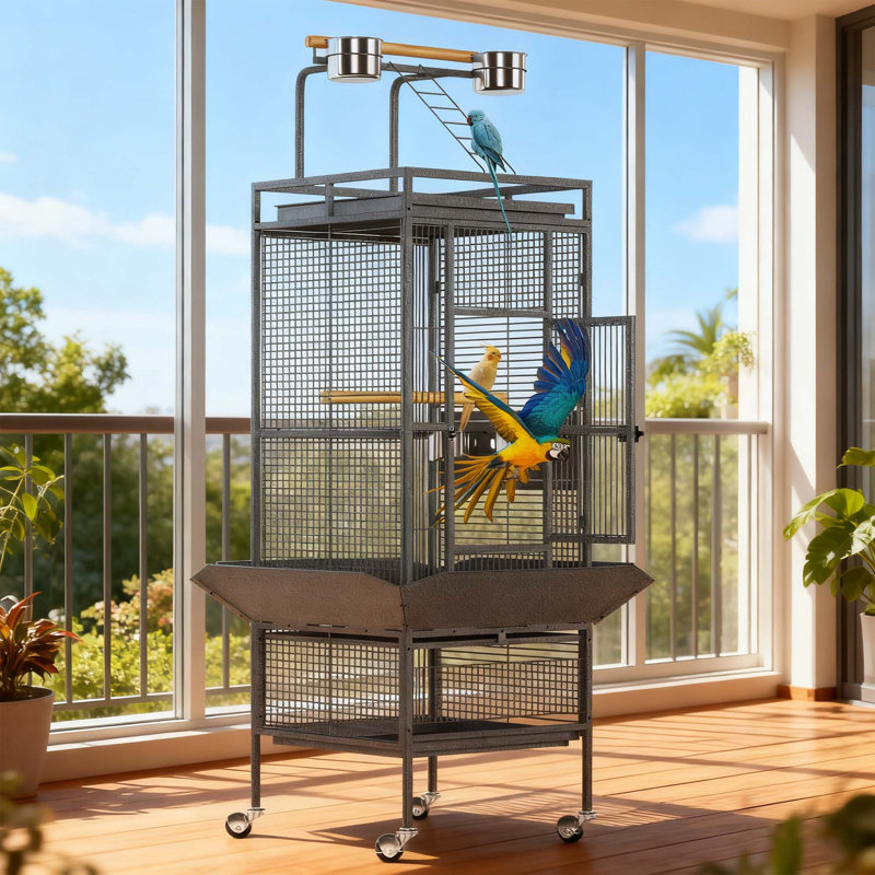 Cage à oiseaux 61 po avec plateau de jeu, supports roulants, bols à nourriture pour perruches, conures