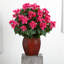 Pièce maîtresse en soie vase