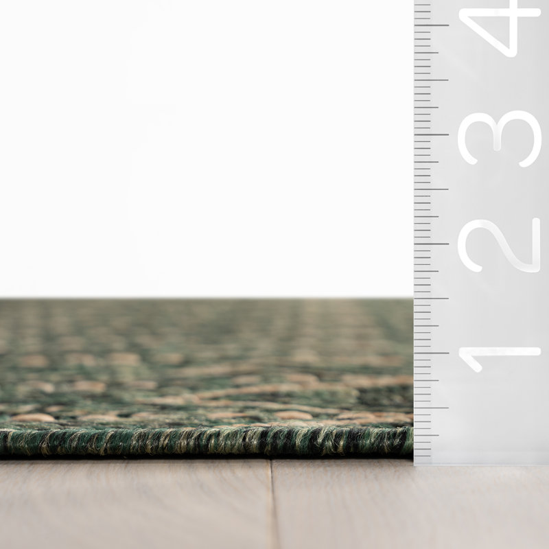  Tapis intérieur / extérieur Calissea, Rectangulaire 4 pi x 6 pi, Vert