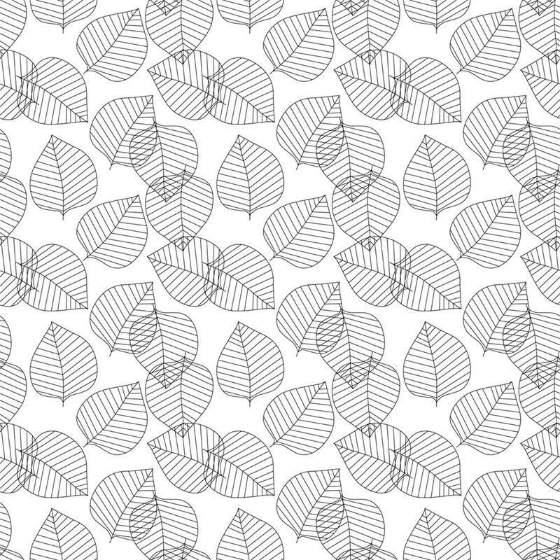 Bross 2.5m x 2.5m Matte Mural, 250 x 250cm