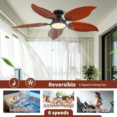 Ventilateur de plafond encastré tropical de 132 cm avec éclairage, motif feuilles de palmier, pour intérieur, en bois massif noyer foncé et noir