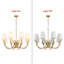Lustre à 8 lumières Hayleigh