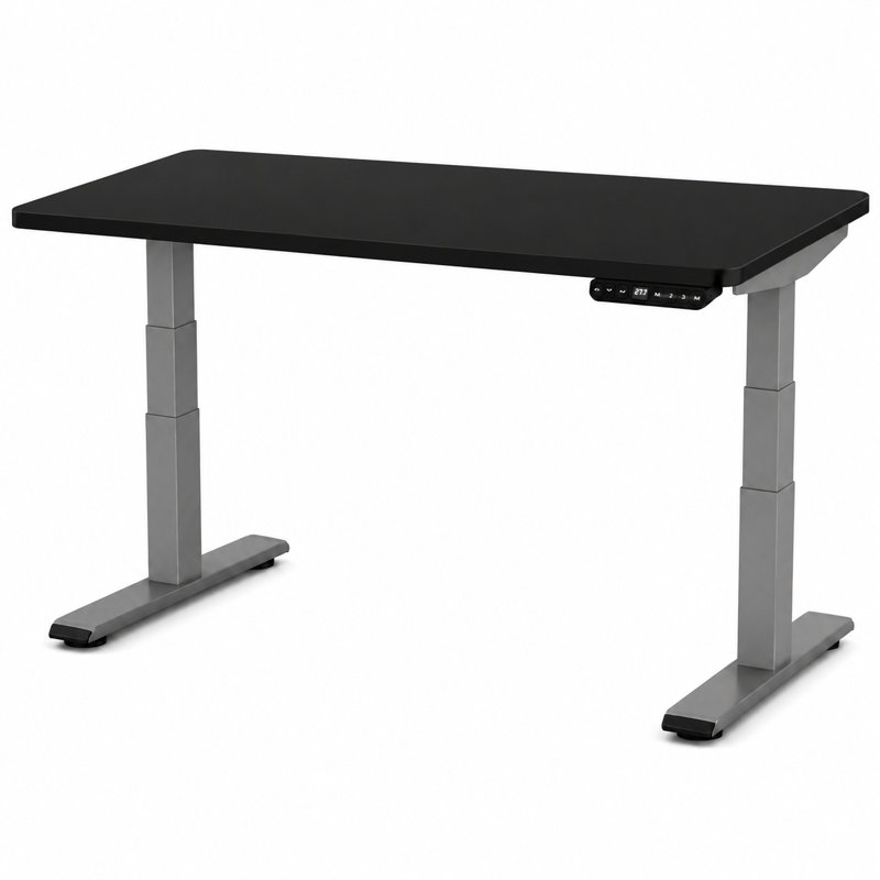 Bureau debout électrique à double moteur 48 po x 30 po Uncage, H 51,6 po x l 48 po x P 30 po, Noir/gris