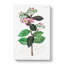 Purple Milkweed Flowers - Wrapped Canvas Print-55322315