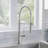 Catris Semi-Pro Pull-Down Dual-Spray Kitchen Faucet - PVD Steel-38457389