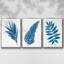 Indigo Botanica III, ensemble de 3 toiles encadrées-1493429164-1493429165