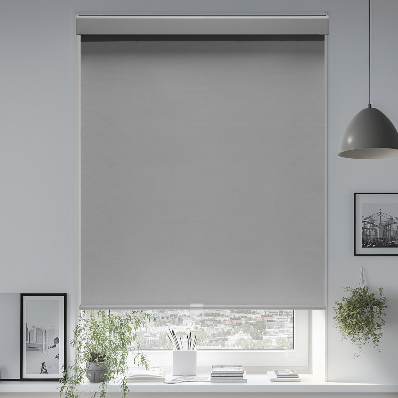 Cordless Blackout Roller Shades – Thermal Insulated Window Blinds for Bedroom, 25"W x 72"L, Gray