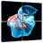 Brampt Glowing Blue Betta Fish-109037912