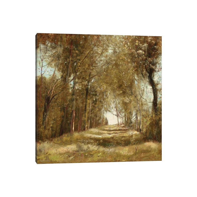 Shaded Path I by Christy McKee - Wrapped Canvas Print, 45.72 cm H x 45.72 cm W