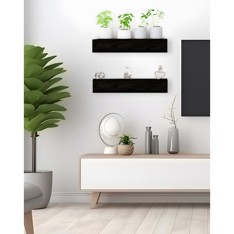 Rayne Floating Shelves Set of 2