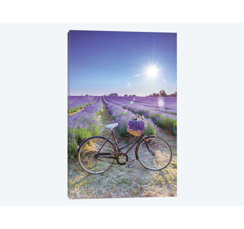 « lavande », impression sur toile, H 12 po x l 8 po x P 0,75 po, Toile tendue, Pas de tapis