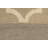 Trellis Handmade Tufted Wool Area Rug in Multicolored