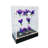 Clear Cabinet Acrylic Display Removable Shelf Case Plexiglass Showcase with Lock and Key Transparent