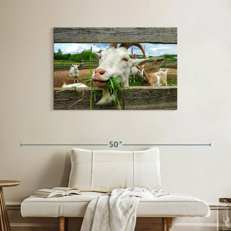 Euphoric Goat, 26" H x 39" W