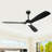 60" 3 - Blade Propeller Ceiling Fan With LED Lights And Remote Control-560736066